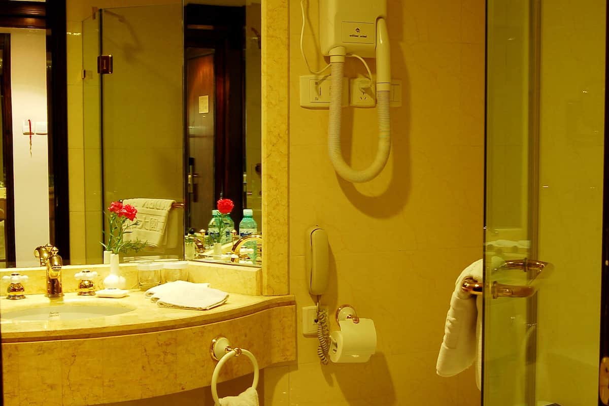 combined shower/bathtub, free toiletries, hair dryer, bathrobes