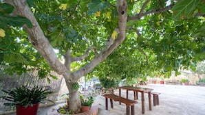 A tree-lined outdoor seating area with a picnic table and potted plants. - Hostal Vista a la Sierra (Valle de Abdalagis)