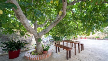 Terras