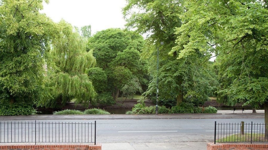 Riverbank View