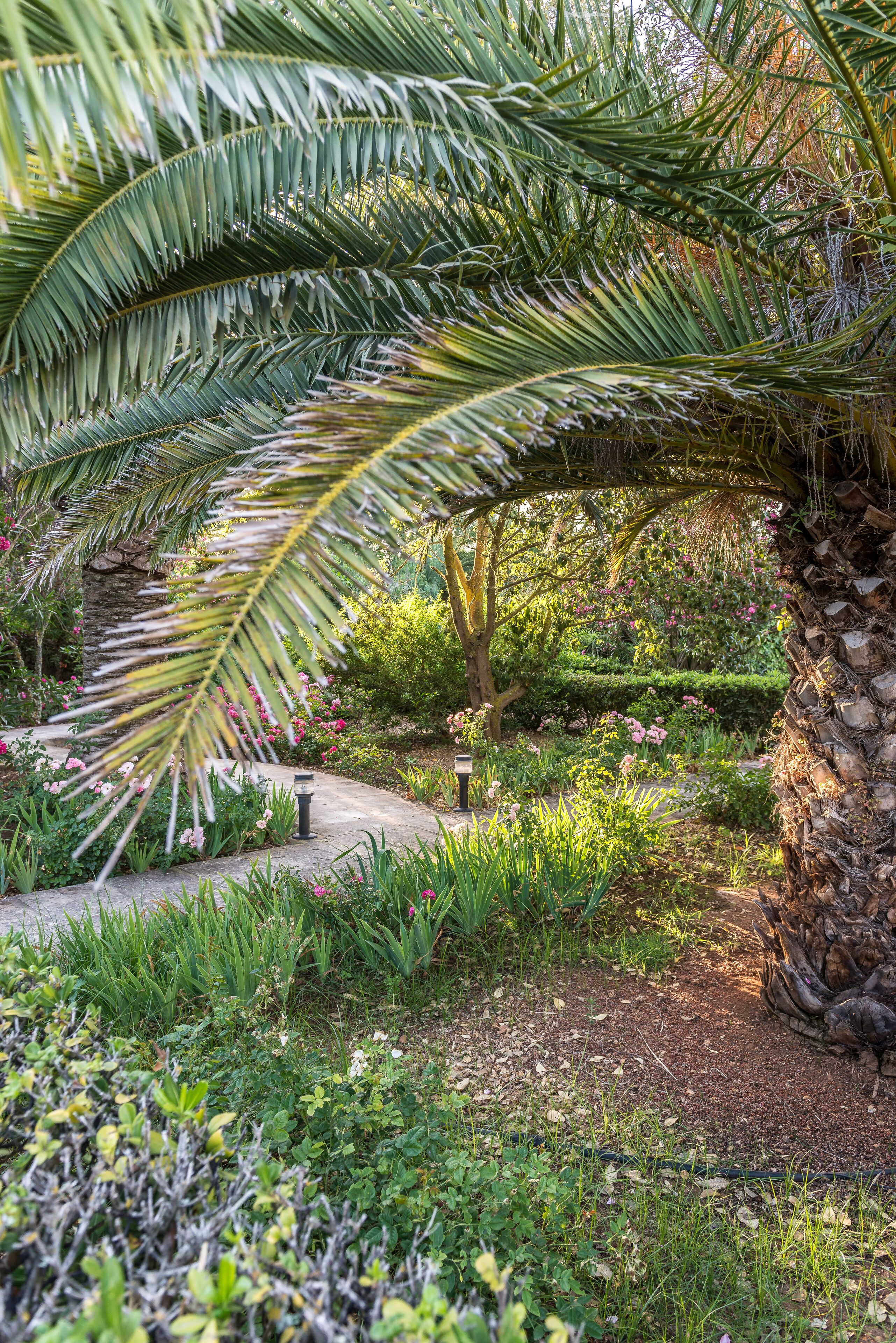 Foto - Hotel Rural Biniarroca - Adults Only