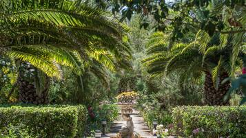 A garden pathway with a central fountain, surrounded by lush greenery and palm trees.