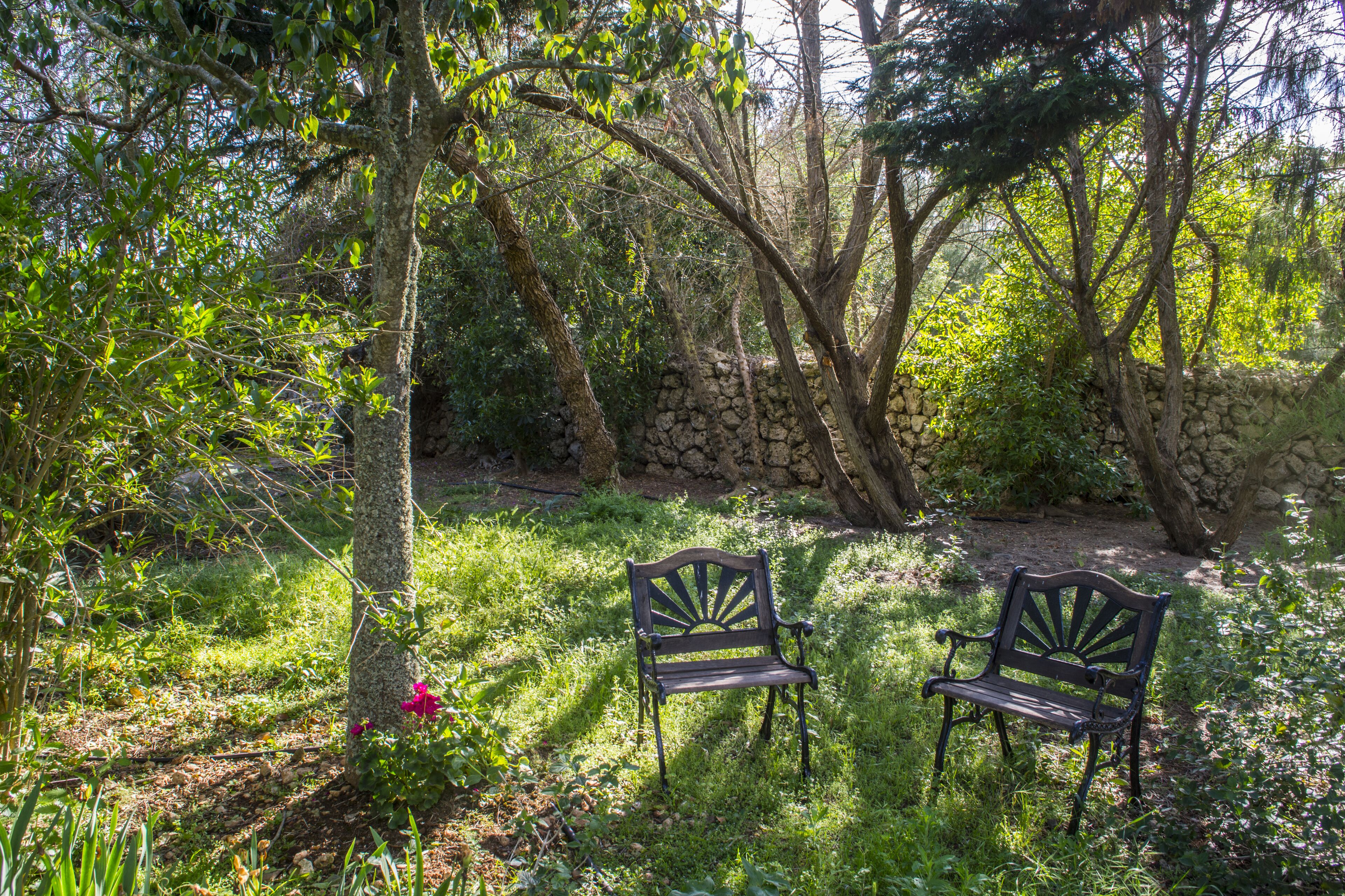 Zwei Bänke in einem Garten mit Steinmauern und Bäumen.