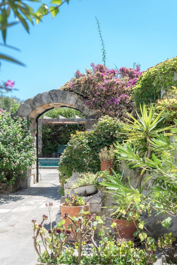 A garden pathway leading to a pool area, surrounded by various potted plants and flowering shrubs.