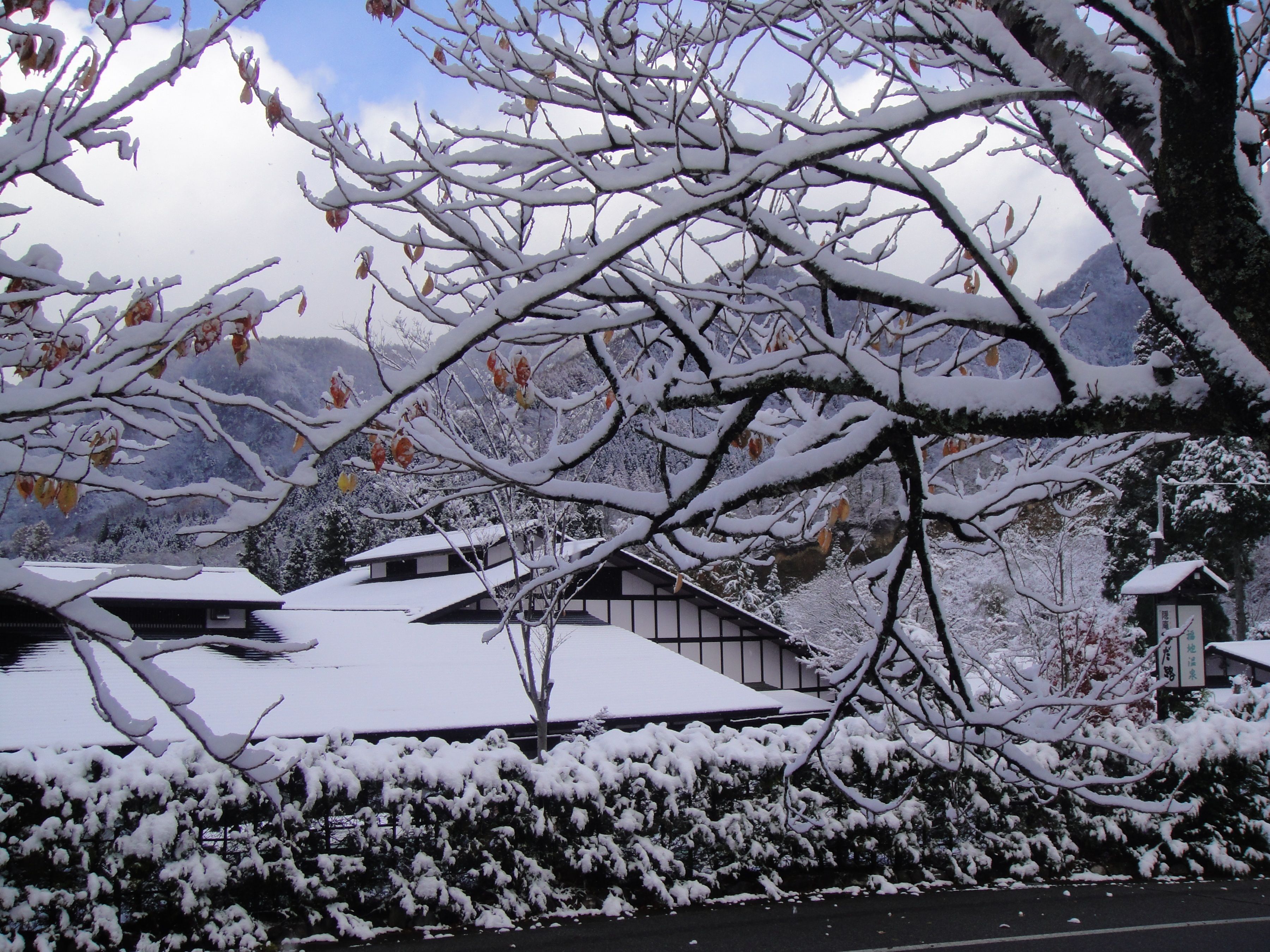 A traditional Japanese building with a snow-covered roof, surrounded by trees and a mountainous backdrop.