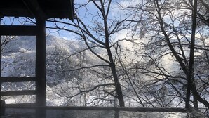 Uitzicht vanuit een raam op een besneeerd landschap met kale bomen en bergen op de achtergrond.