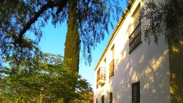Un edificio blanco con balcones, rodeado de árboles y un sendero de piedra.