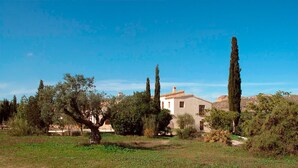 Un bâtiment doté d’un toit plat et d’un petit balcon, entouré d’arbres et de verdure.