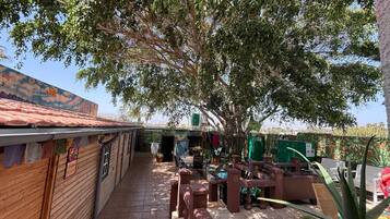 Un espace extérieur aménagé en terrasse, avec des bancs en bois, un grand arbre offrant de l’ombre et un bâtiment doté d’un toit en tuiles.