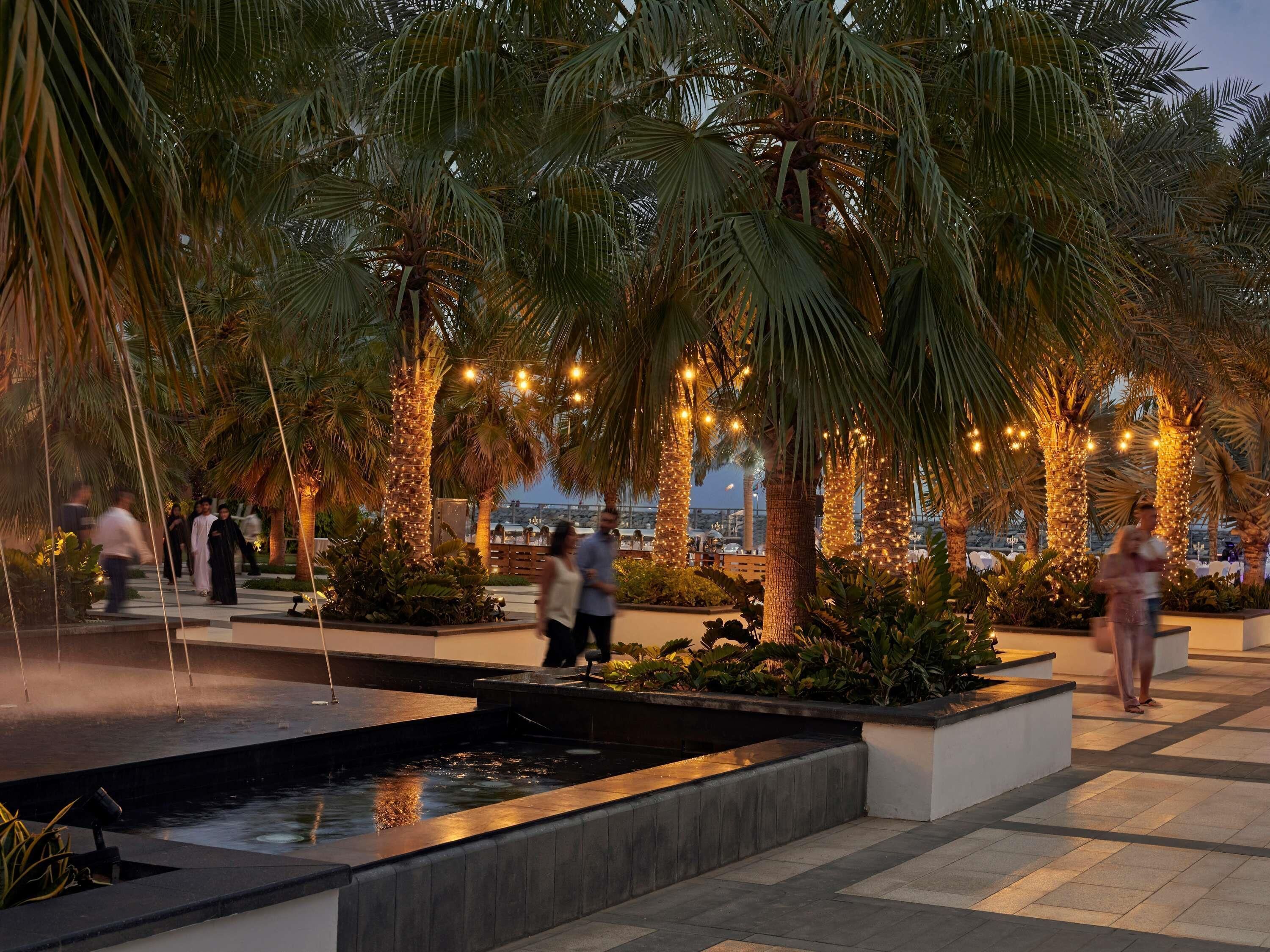 Un área exterior ajardinada con palmeras, una fuente de agua y luces colgantes.