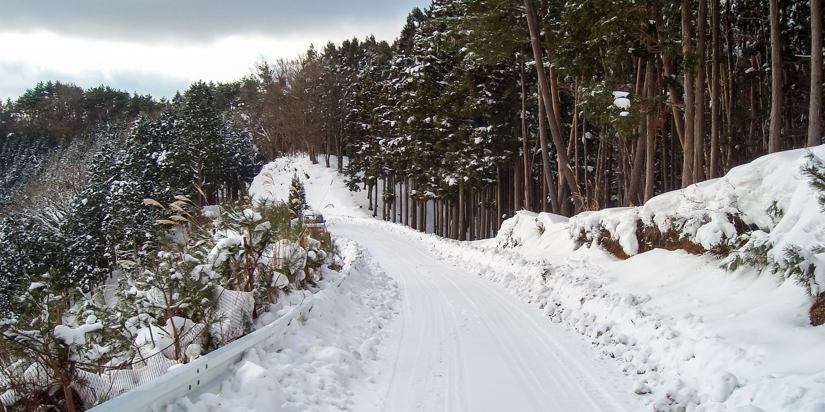 Carretera nevada bordeada por árboles y una valla.