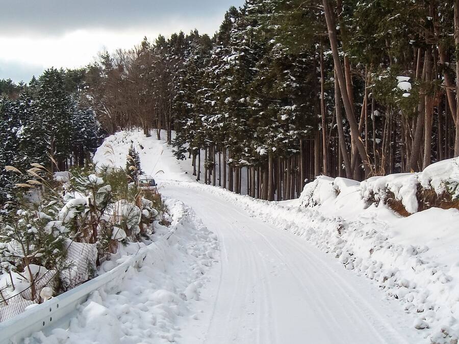 Carretera nevada bordeada por árboles y una valla.