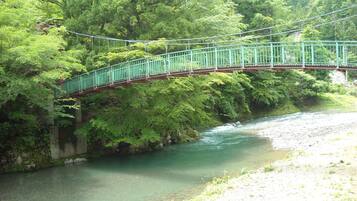 A green suspension bridge over a river with dense greenery on both sides.