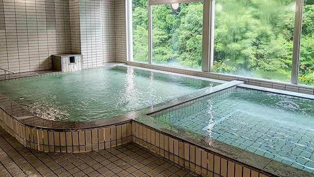 Área de spa com hidromassagem e vista para vegetação exuberante através de grandes janelas.