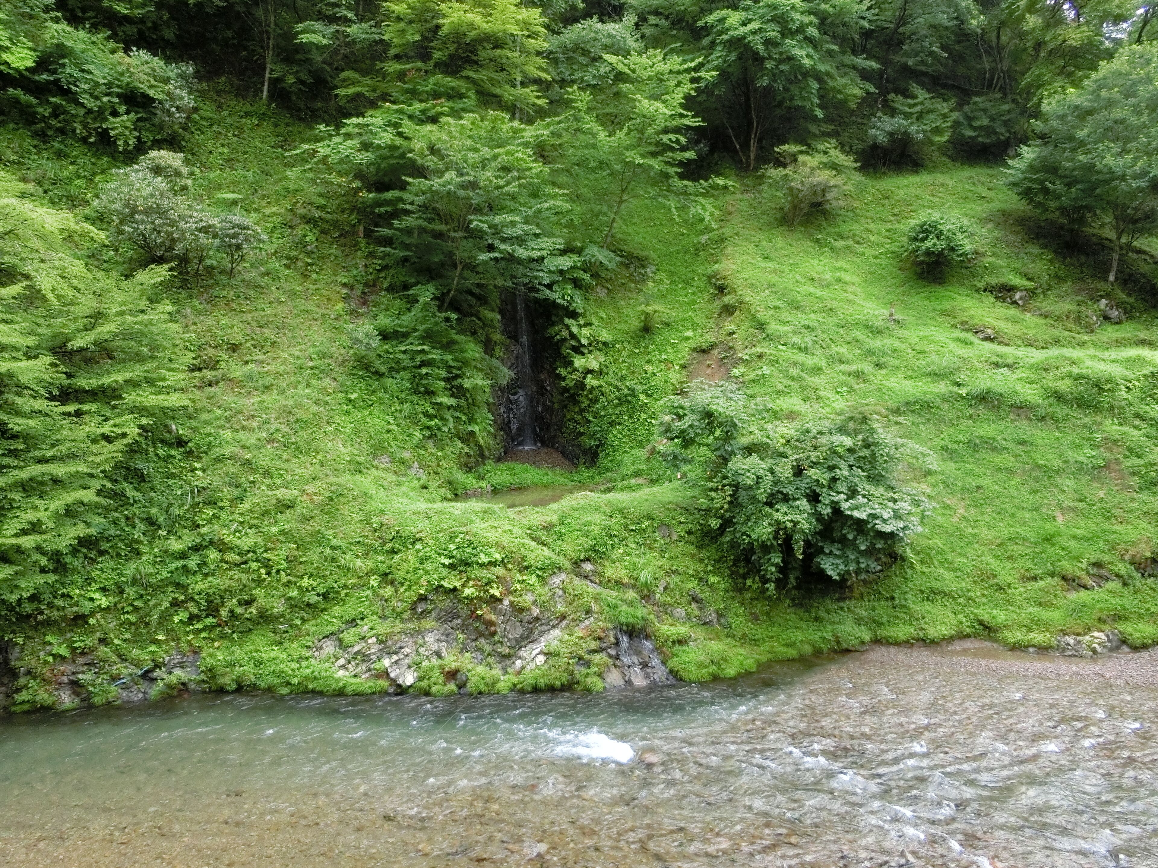Ein Fluss fließt durch eine üppige, grüne Landschaft mit dichter Vegetation und einem kleinen Wasserfall.
