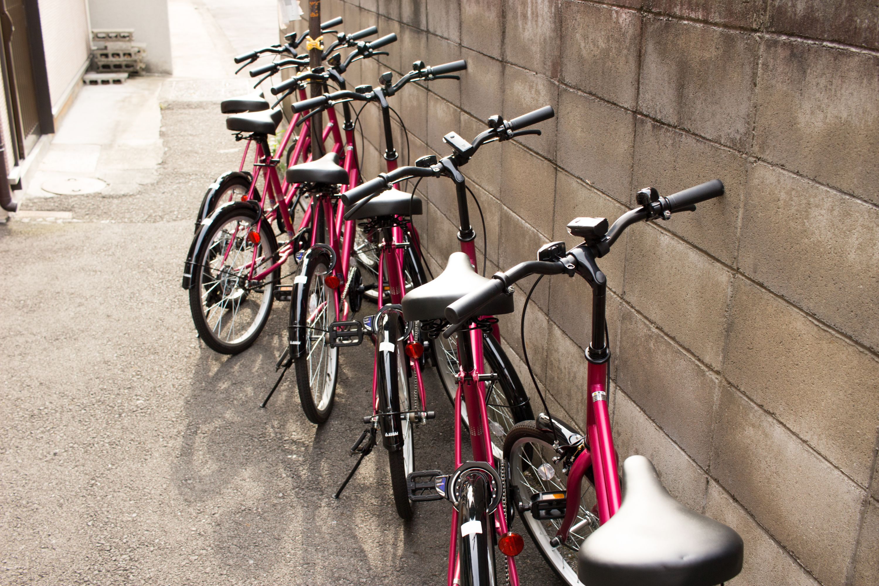 A row of pink bicycles parked against a concrete wall.