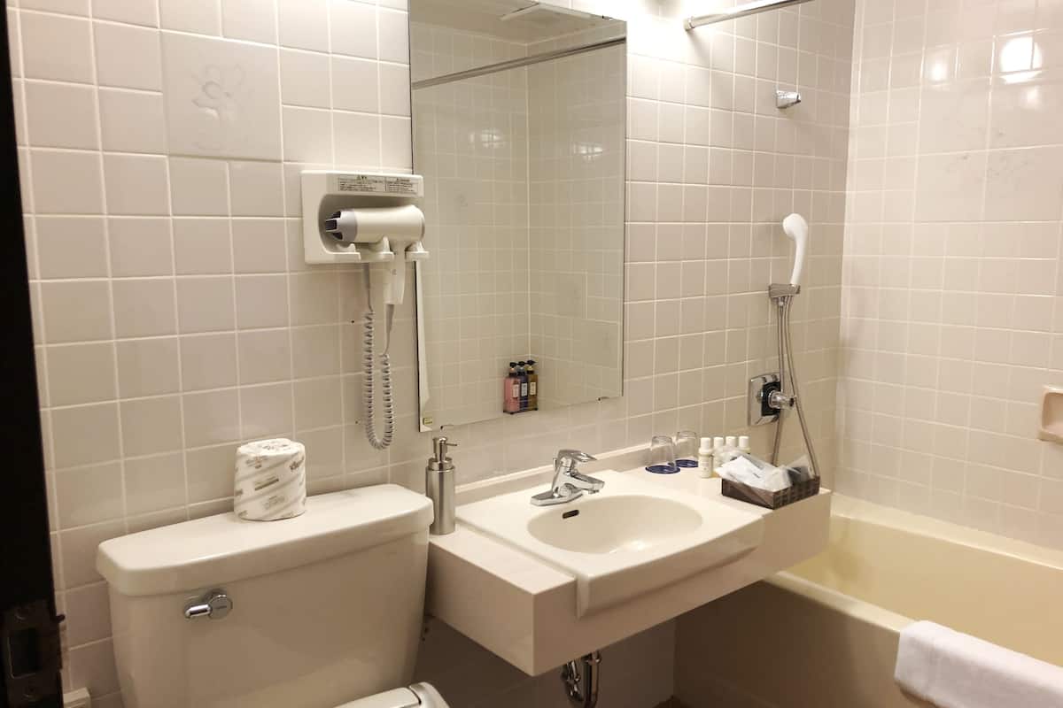 shower, free toiletries, hair dryer, slippers