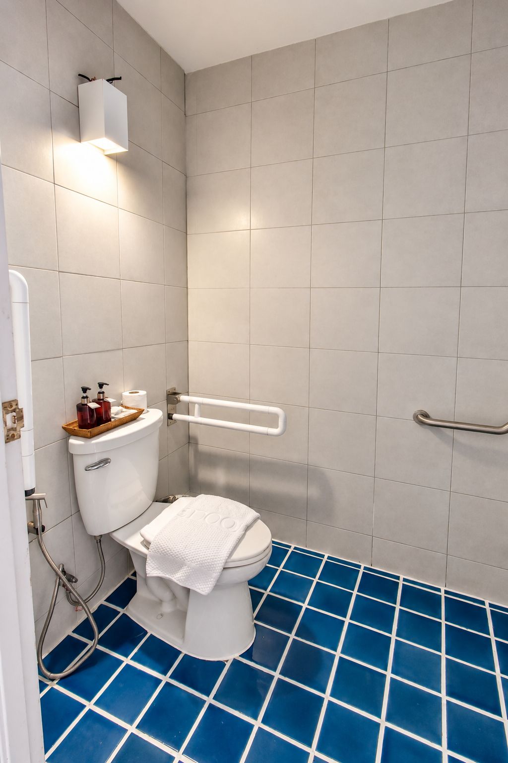 A bathroom with a white toilet, a handrail, and a blue-tiled floor.