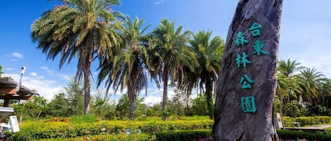 City view from property