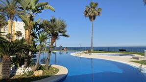 A pool with a curved edge, surrounded by palm trees and a view of the ocean.