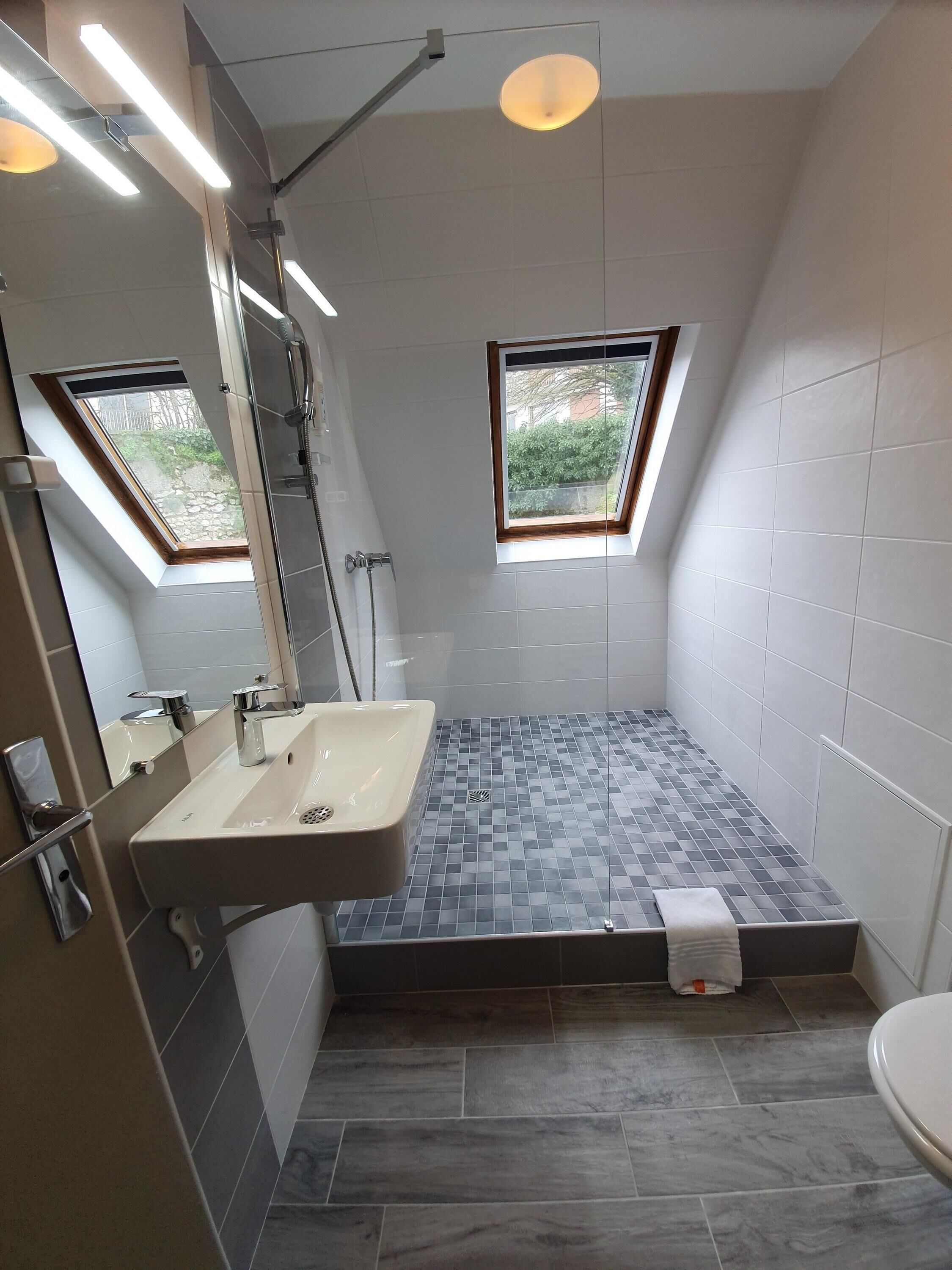 Une salle de bain moderne avec une lucarne, une douche et un lavabo.