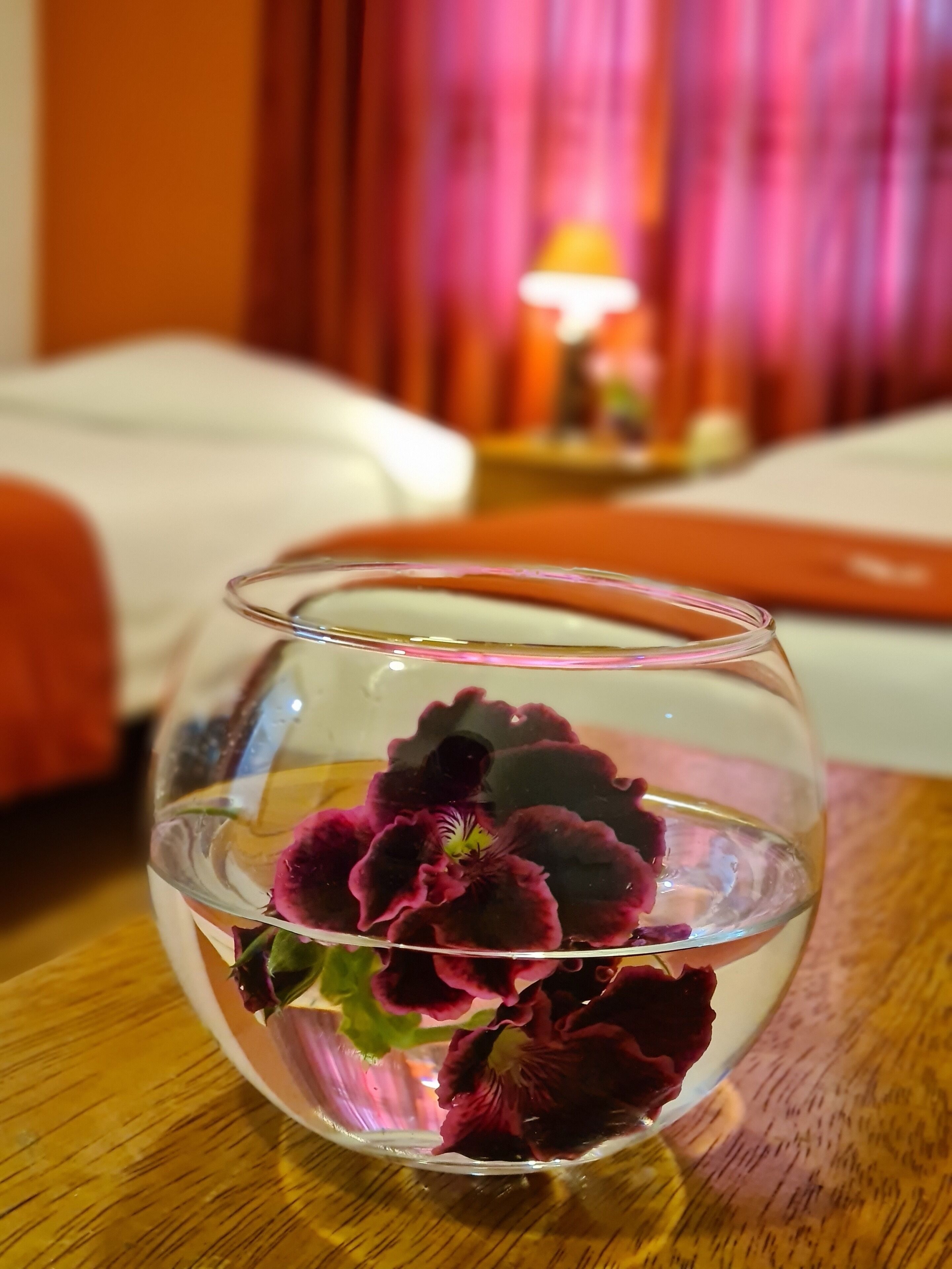 Photo - Hotel Casa Campesina