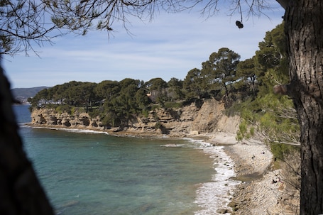 Una playa cerca