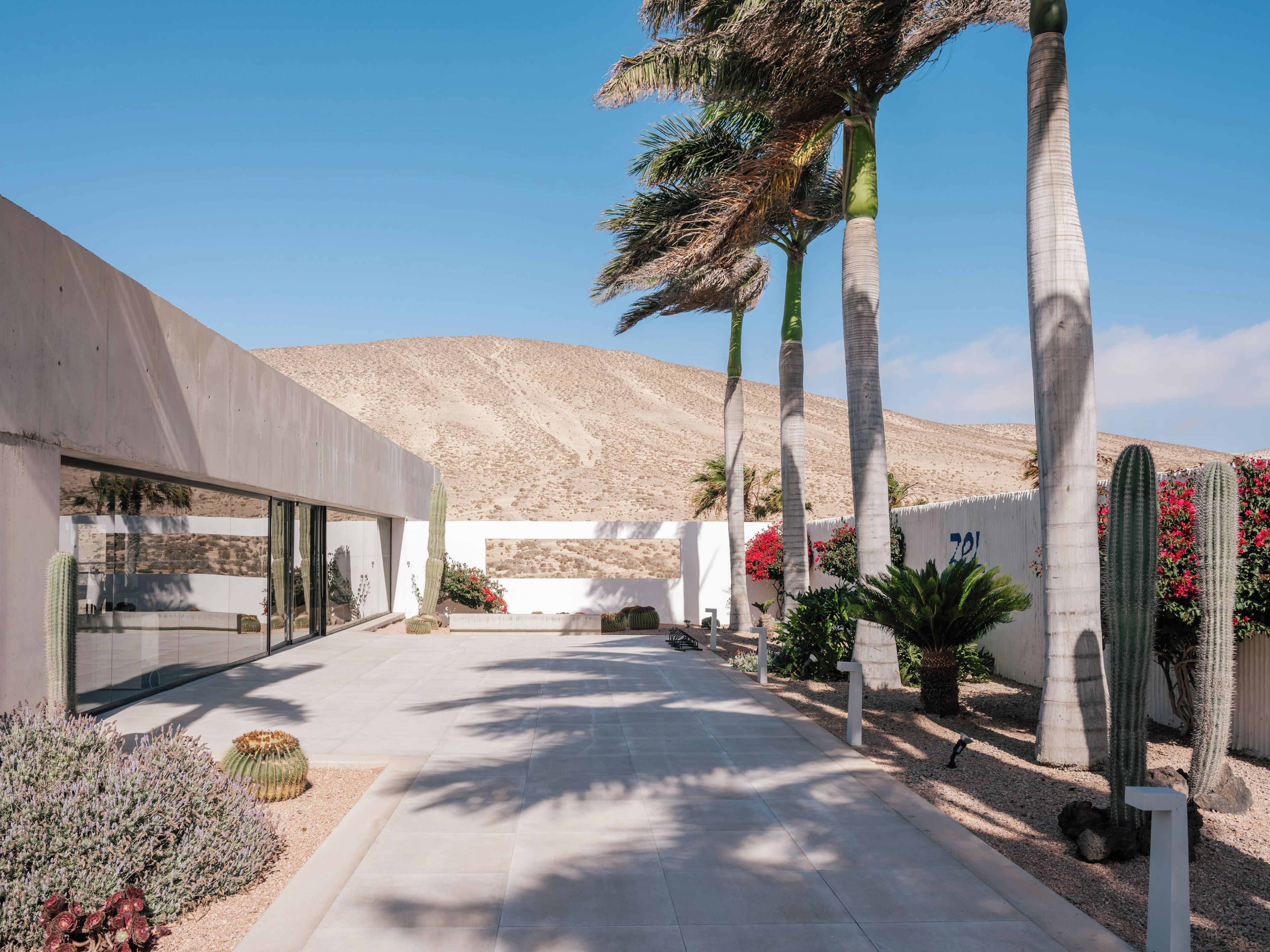 A modern building with a concrete facade, a paved walkway, and desert vegetation including cacti and palm trees.