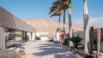 A modern building with a concrete facade, a paved walkway, and desert vegetation including cacti and palm trees.