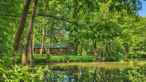 Une cabane entourée d’une végétation luxuriante et bordée d’un étang paisible.