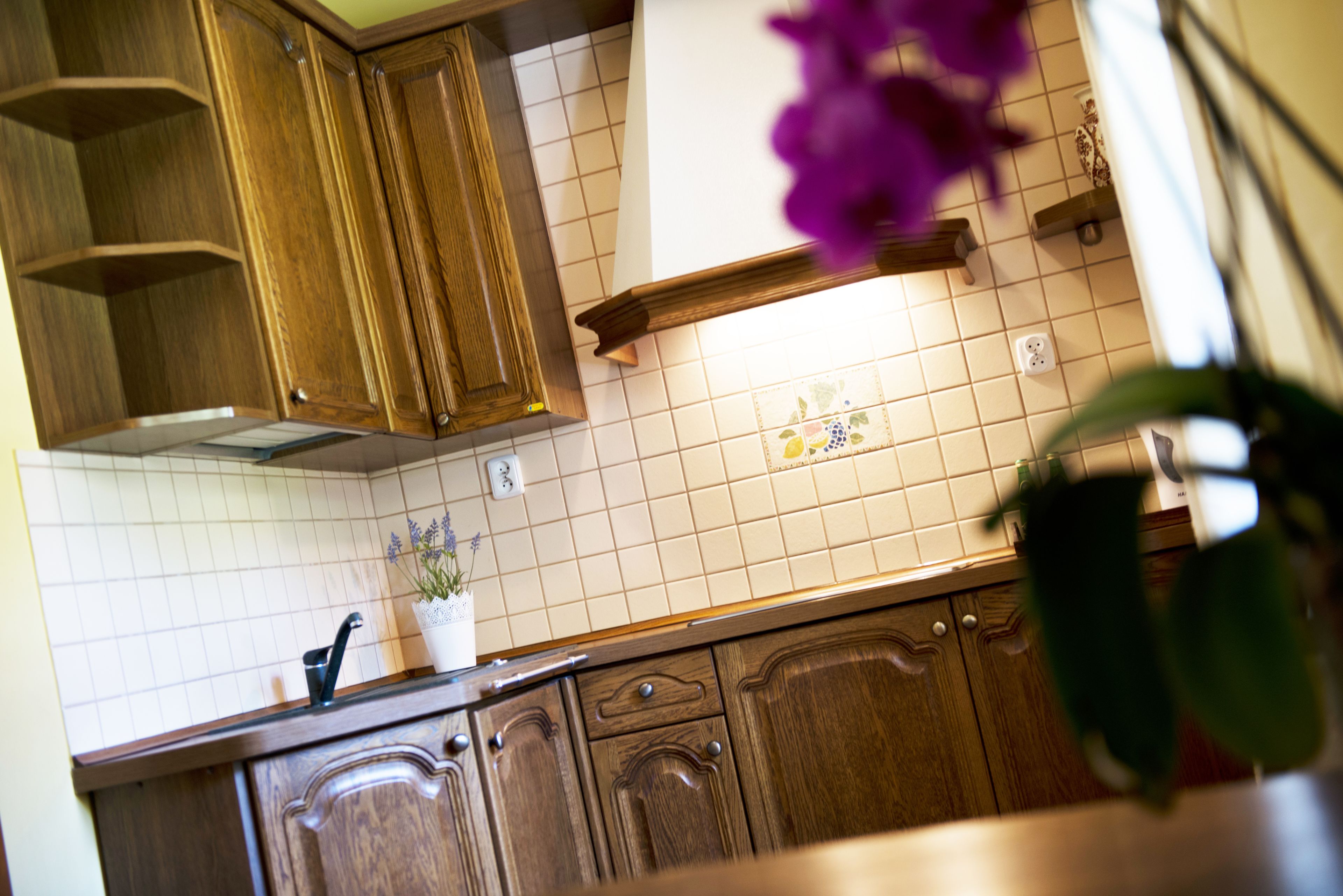 Una cocina con armarios de madera, salpicadero de azulejos y una planta en maceta.