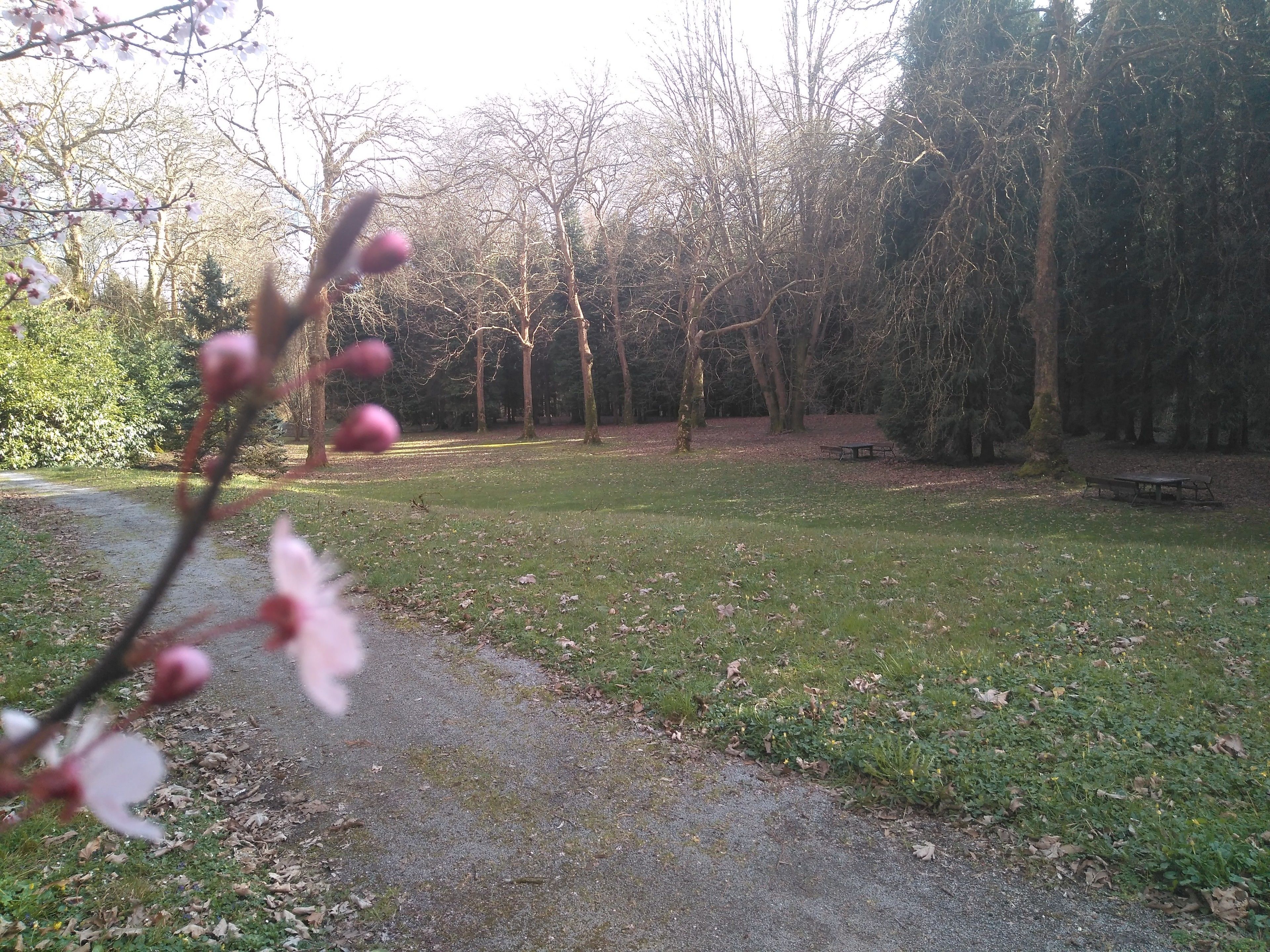 Ein Park mit Kiesweg, Bänken und Bäumen.