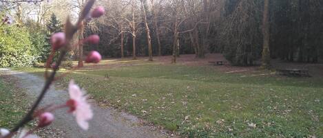 Ein Park mit Kiesweg, Bänken und Bäumen.