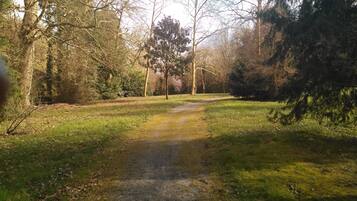 A gravel path in a wooded area with trees and grass.