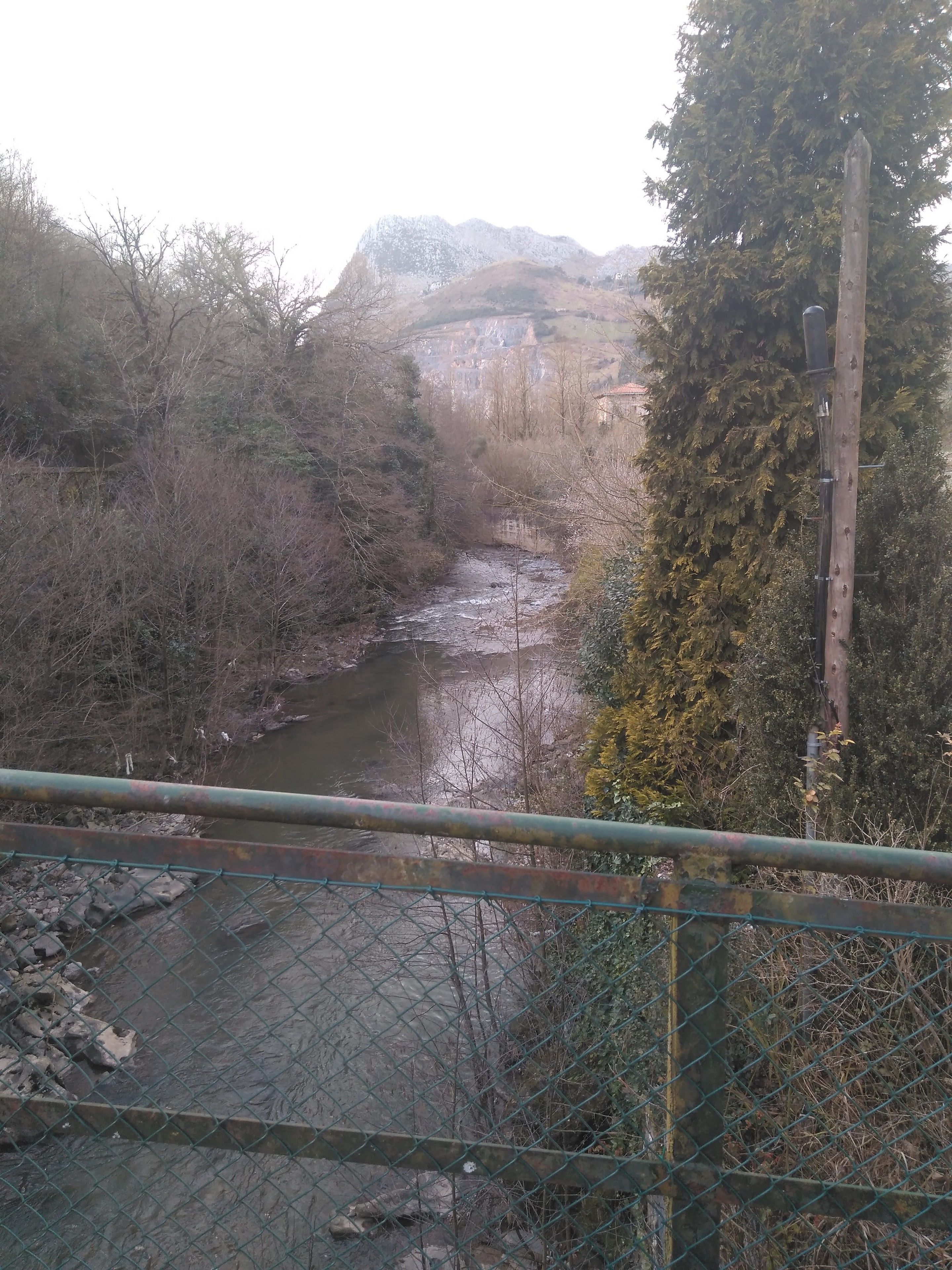 Un río con un puente al fondo, rodeado de árboles y vegetación.
