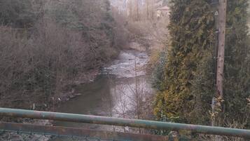 Un río con un puente al fondo, rodeado de árboles y vegetación.