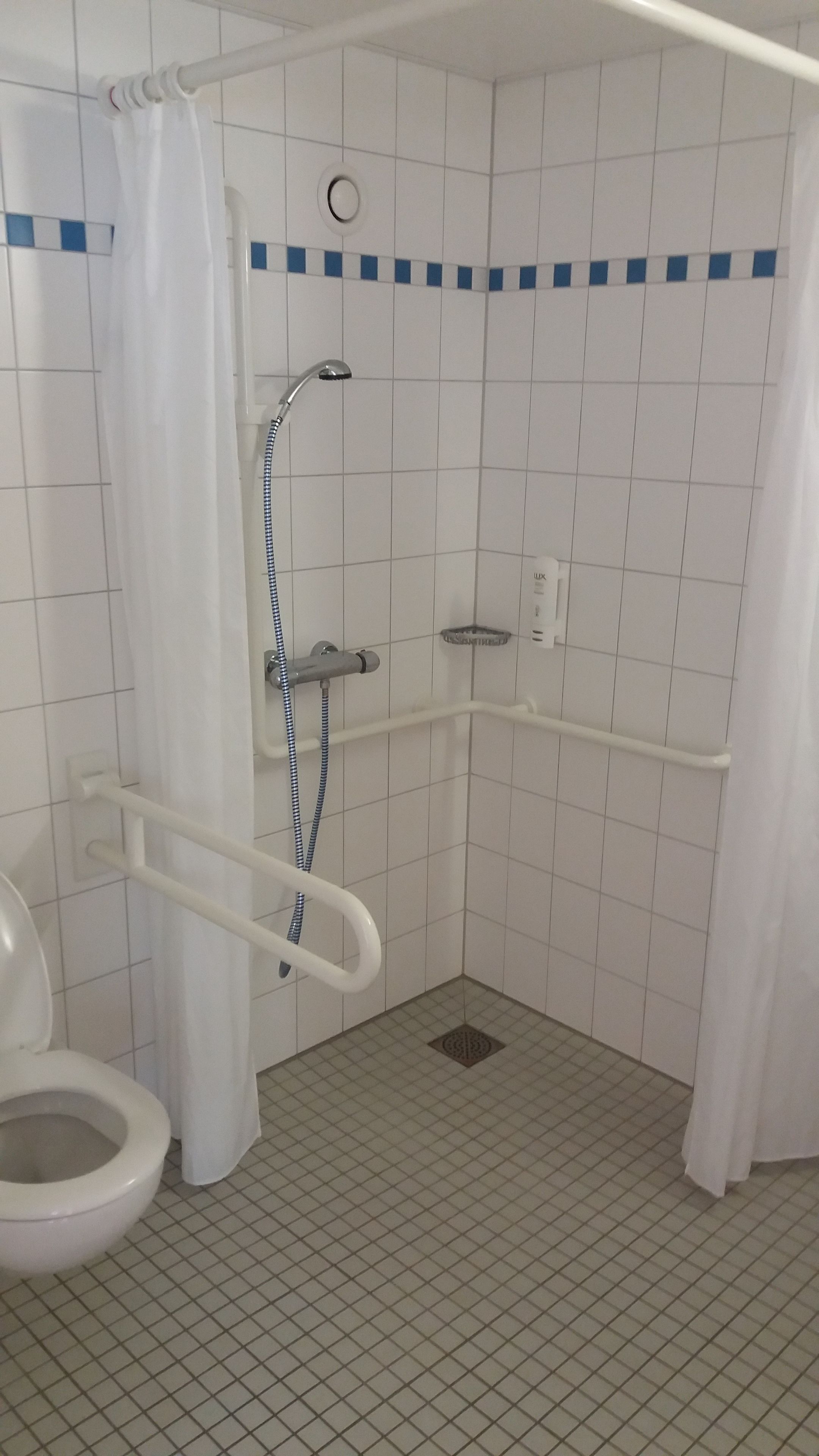A bathroom with a shower, a toilet, and a grab bar.