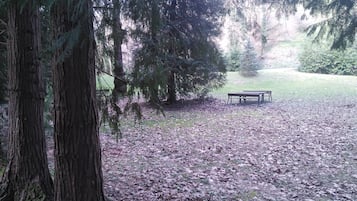 Área de parrilladas y picnic