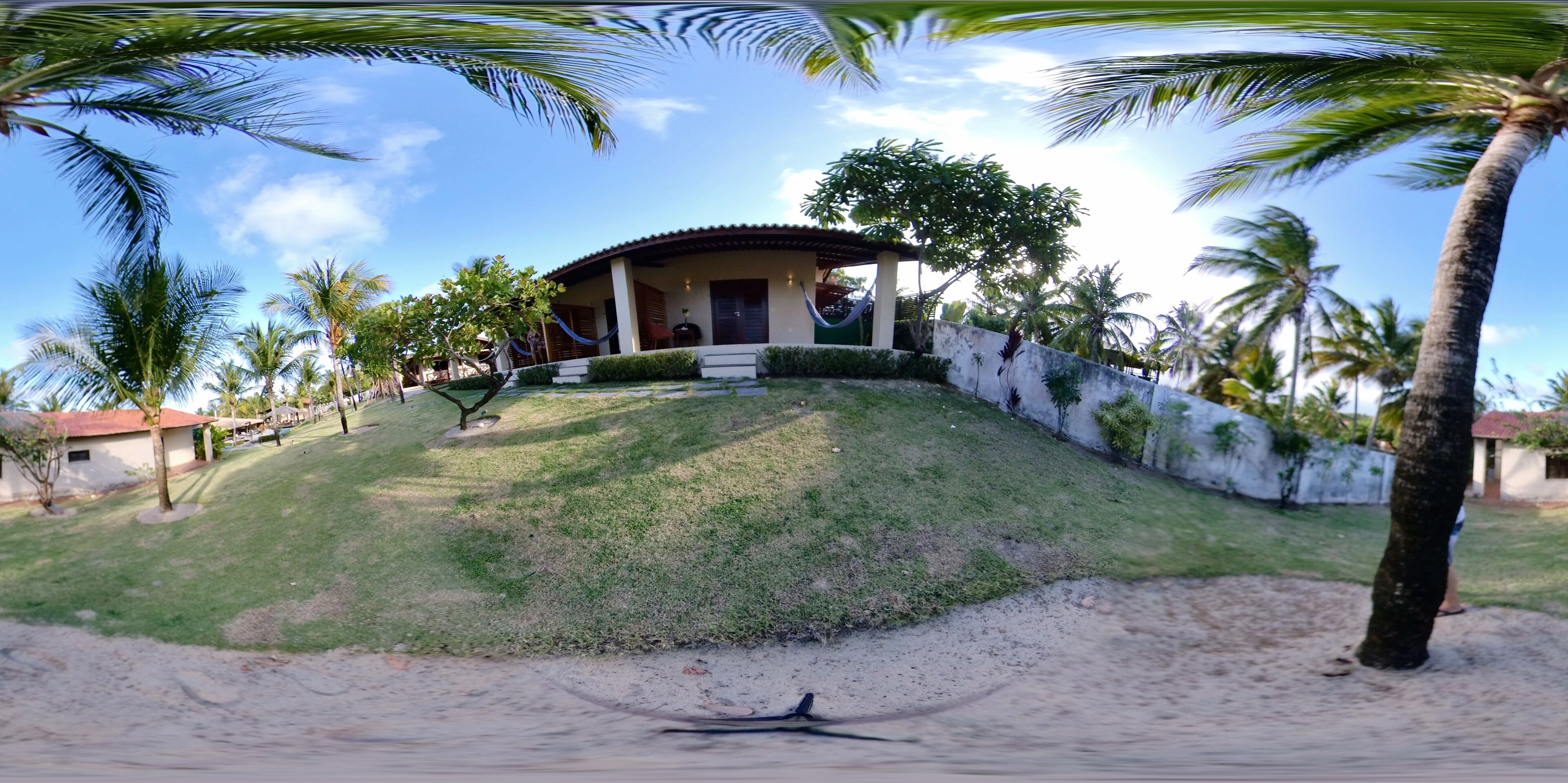 A house with a sloped roof, surrounded by palm trees and a grassy hill.