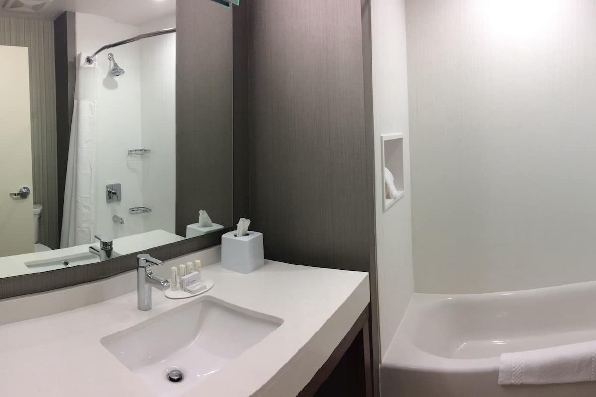 designer toiletries, hair dryer, towels