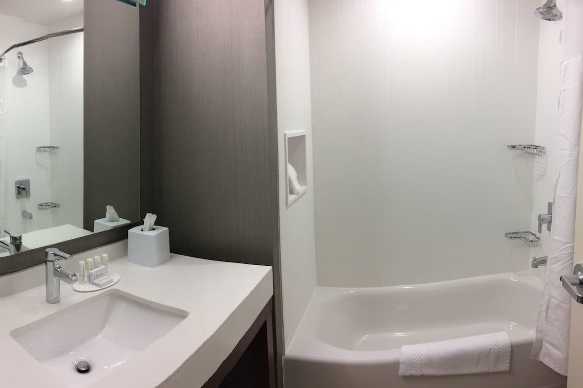 Designer toiletries, hair dryer, towels