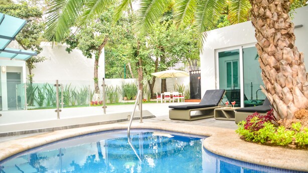 Una piscina al aire libre, sombrillas, sillones reclinables de piscina