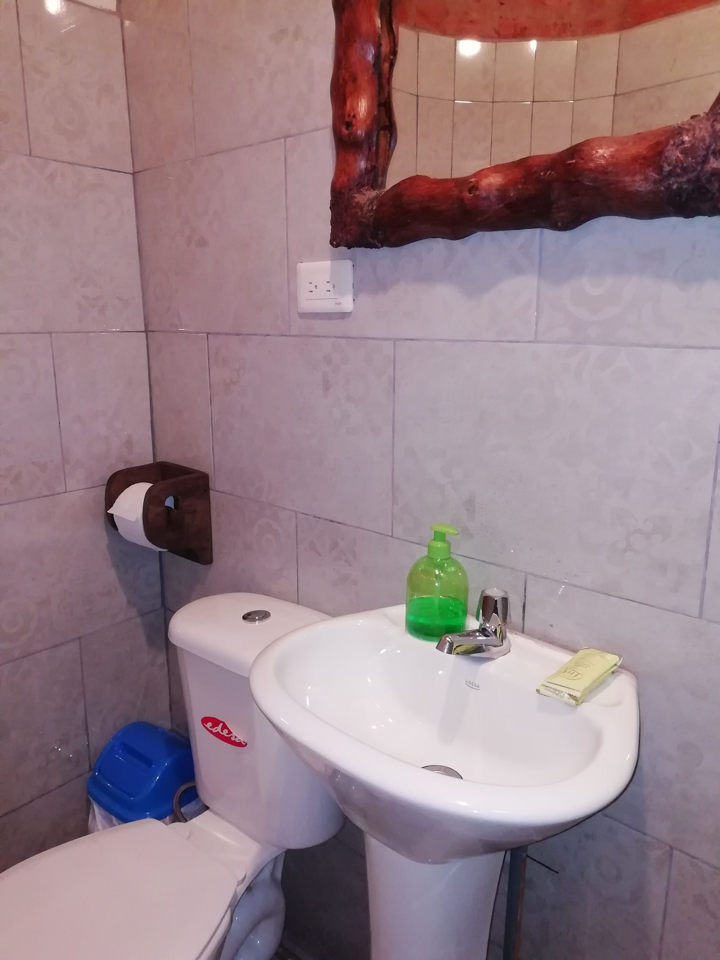 Ein Badezimmer mit einer weißen Toilette, einem weißen Waschbecken, einem grünen Seifenspender und einem blauen Mülleimer.