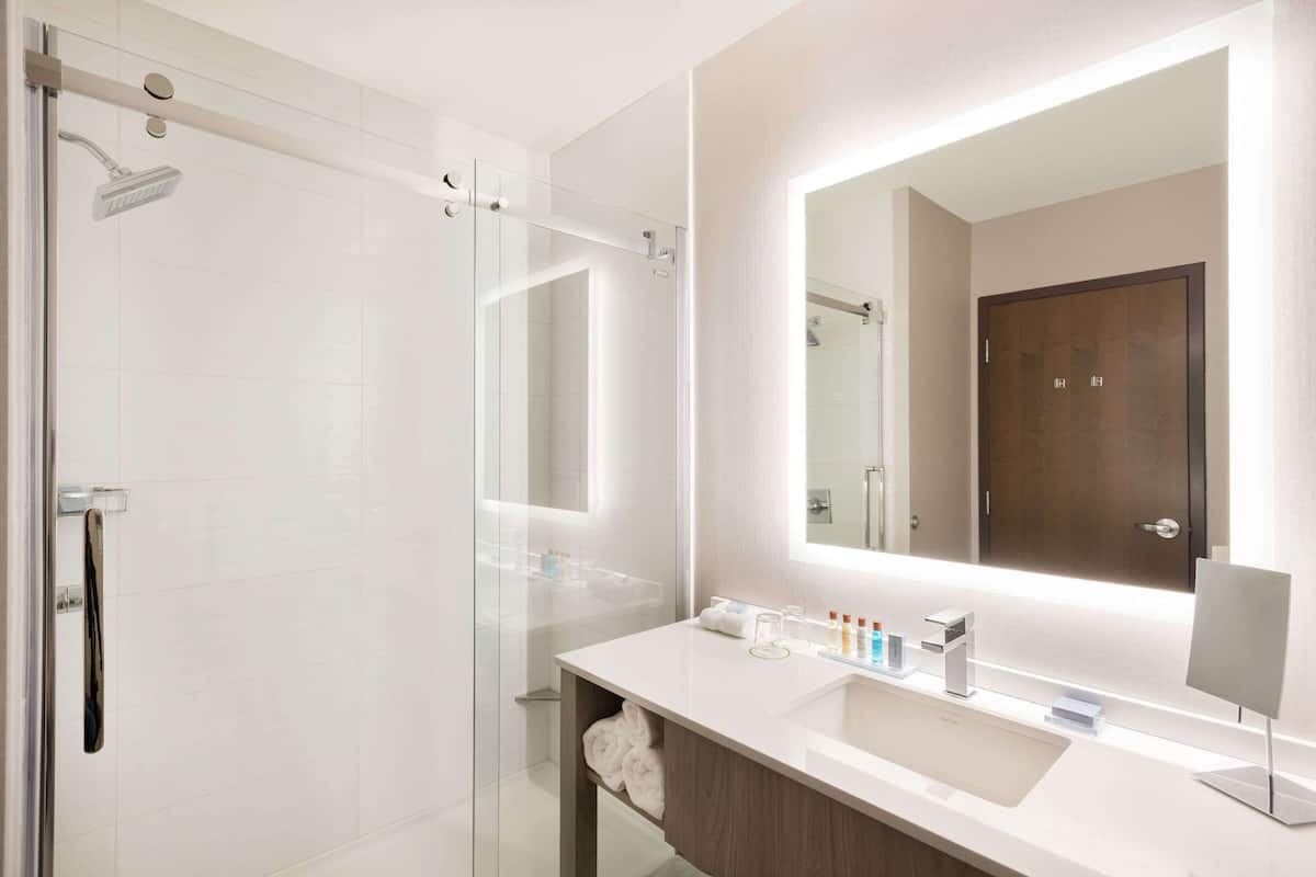 shower, free toiletries, hair dryer, towels