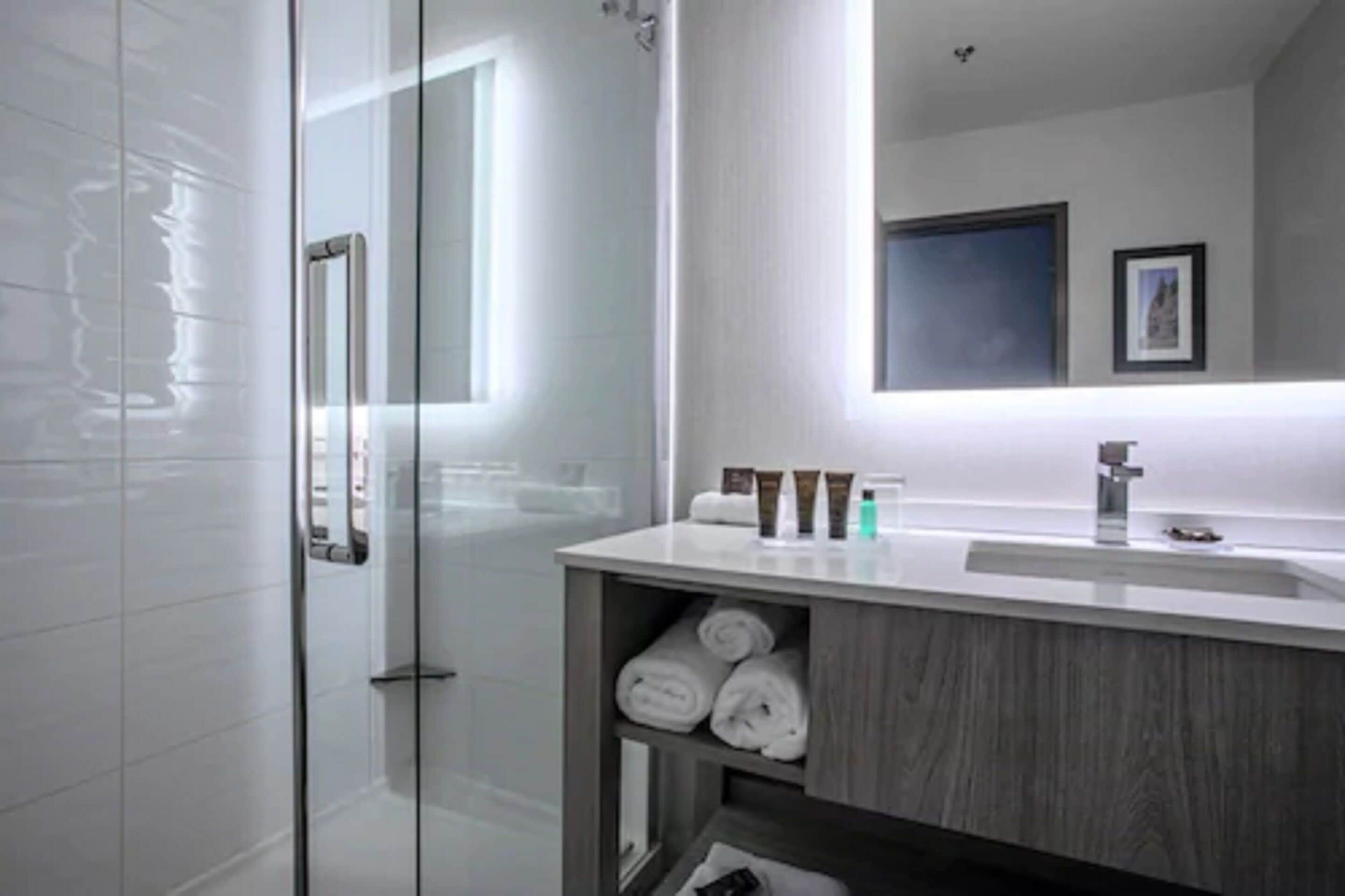 shower, free toiletries, hair dryer, towels