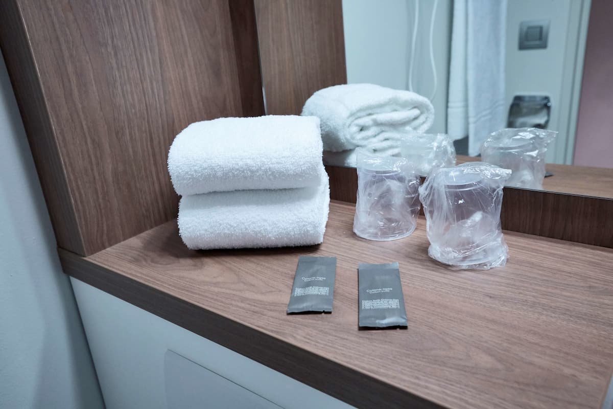 room, 2 single beds (next generation) | bathroom | shower, eco-friendly toiletries, hair dryer, towels