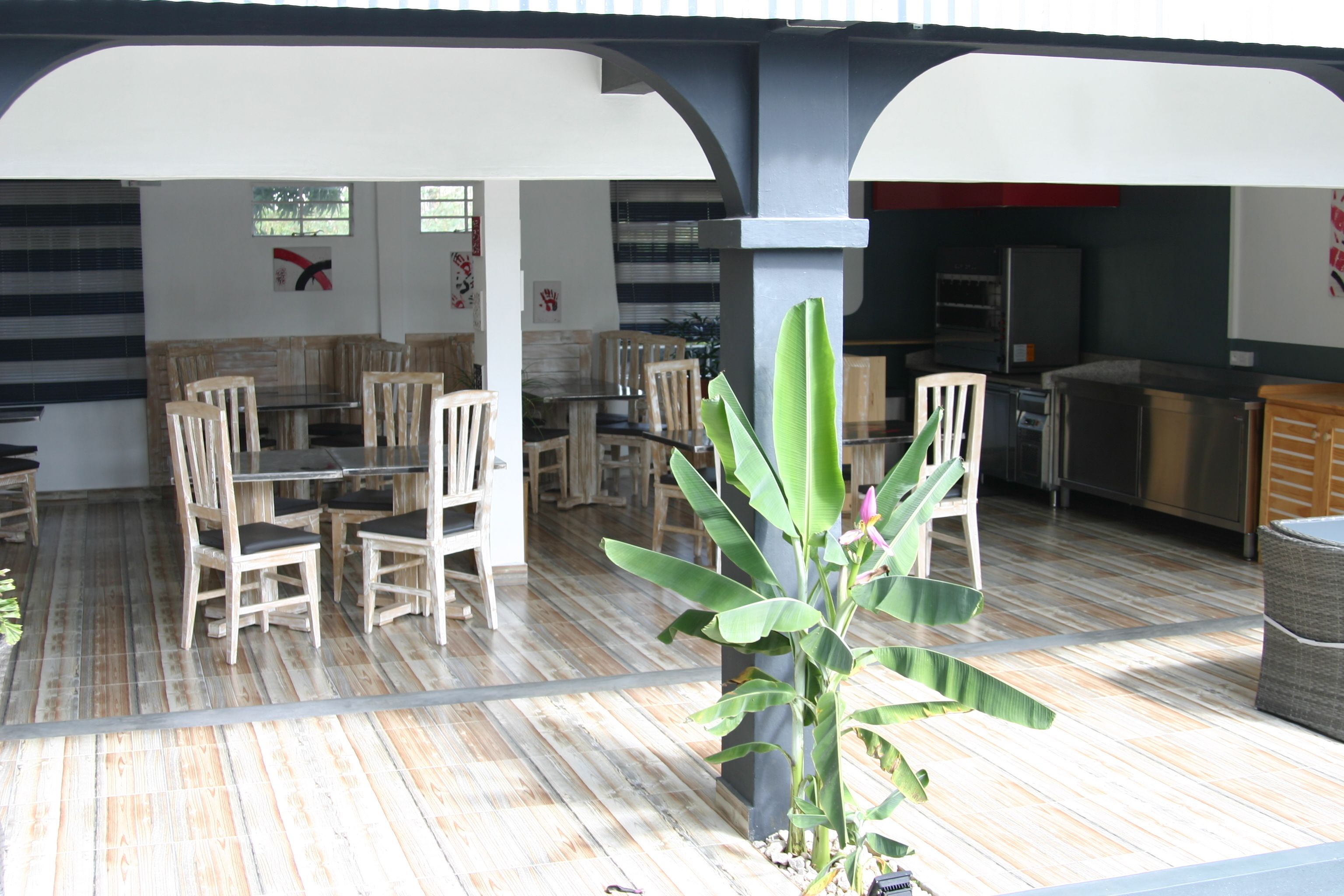 Un coin repas avec des chaises en bois et une table en verre, un espace cuisine équipé d’appareils électroménagers et une grande plante au centre.