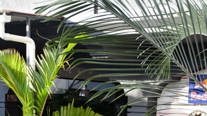 An indoor garden area with potted plants, a seating area with chairs, and a tiled floor. - Le Pôle Résidence (Grand-Baie)