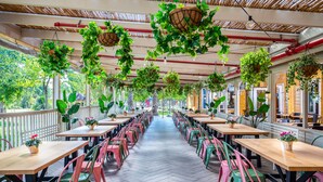 Un restaurant avec de longues tables en bois et des chaises en plastique de couleurs vives, entouré de plantes suspendues et doté d’un plafond en bambou.