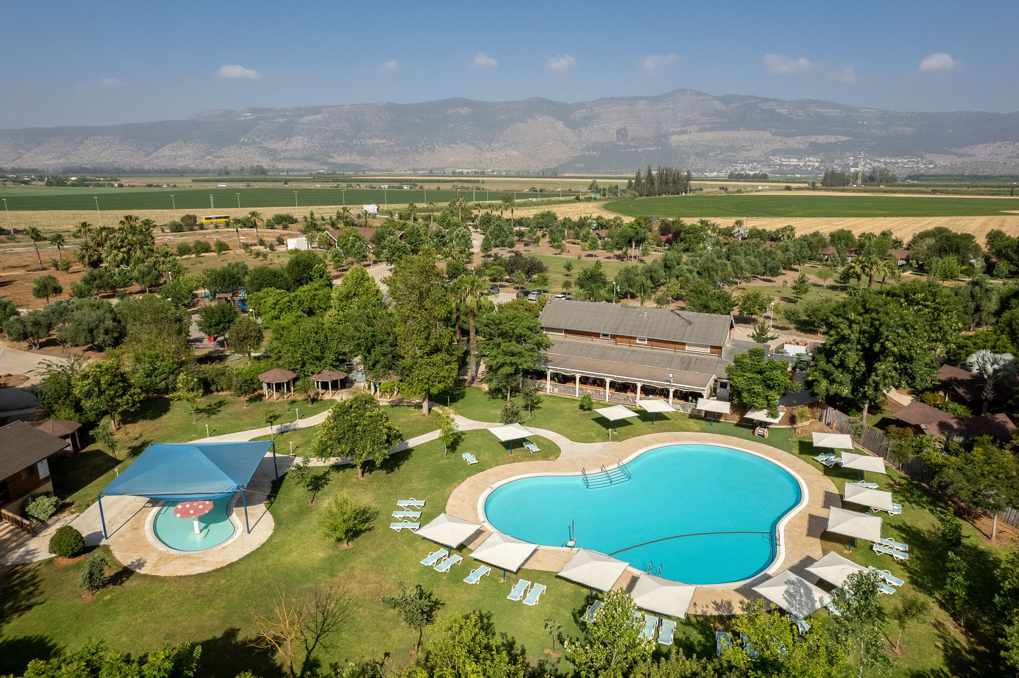 A large swimming pool with sun loungers and umbrellas, surrounded by trees and a view of mountains.